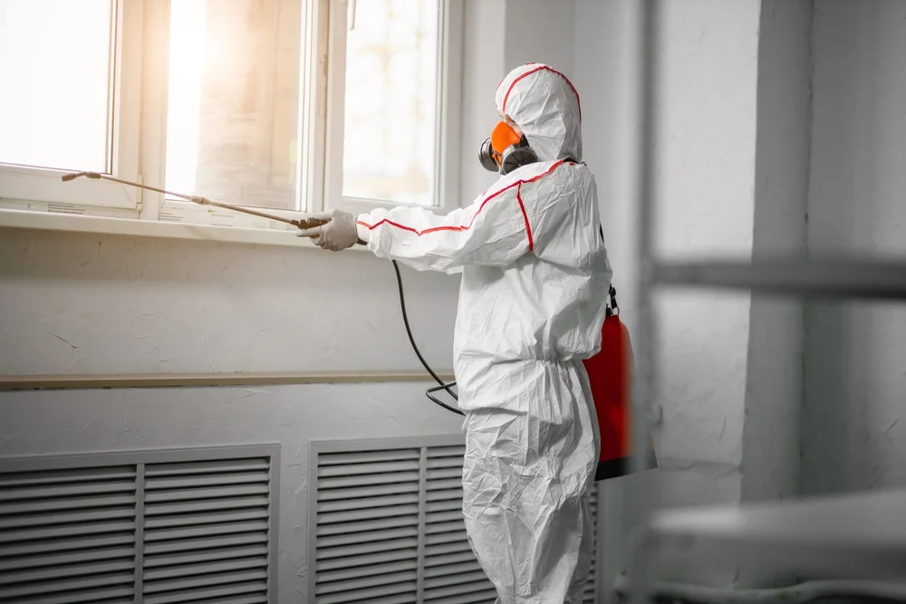 Professional mold remediation services in Amlin, OH